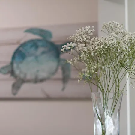 Apartman Homeforguest Flat With Large Terrace In Modern Residential Complex With Swimming Pool Caleta De Fuste